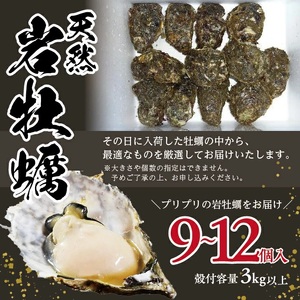 SF0370　天然岩牡蠣　計3kg以上(9～12個入)