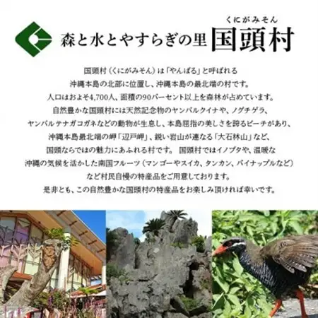美ら島あぐー ロース250g バラ250g しゃぶしゃぶセット計500g【配送不可地域：離島】【1620065】
