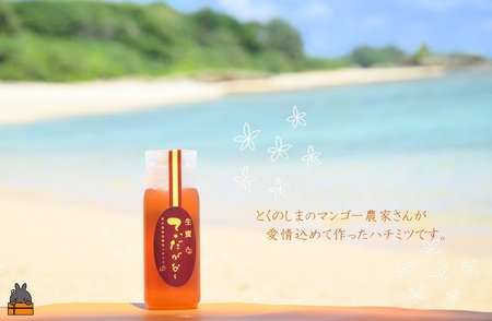 徳之島産完熟“生”ハチミツ「てぃだがなし」（200g×2本）( はちみつ ハニー 徳之島 お菓子 調味料 自然食品 スイーツ 生 100% パンケーキ ケーキ 奄美 鹿児島 )