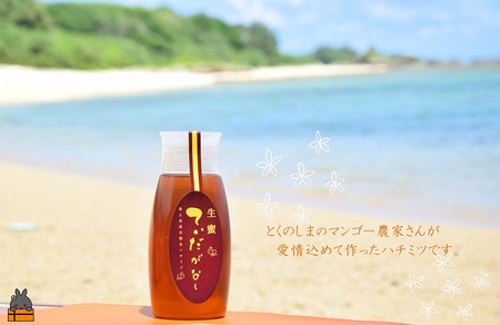 徳之島産完熟“生”ハチミツ「てぃだがなし」（大）（500g×1本）( はちみつ ハニー 徳之島 お菓子 調味料 自然食品 スイーツ 生 100% パンケーキ ケーキ 奄美 鹿児島 )