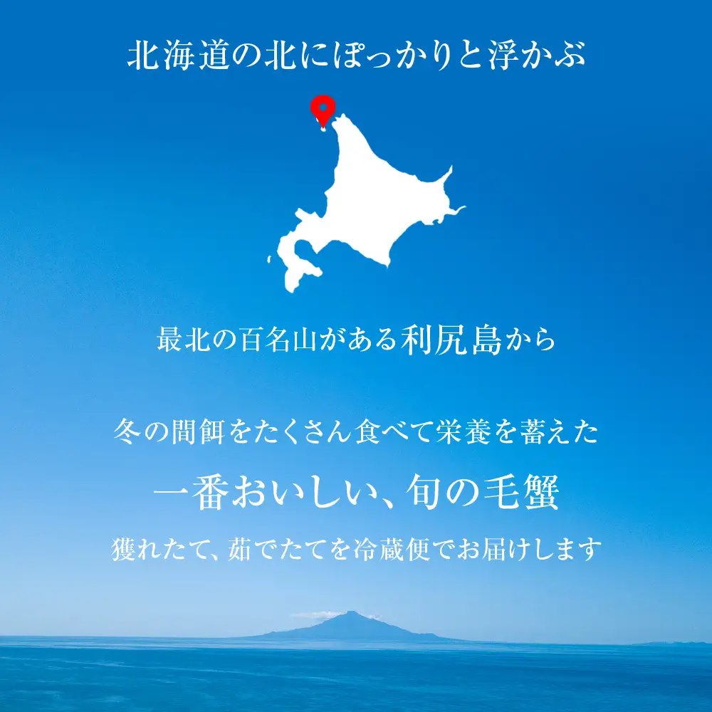【2027年発送予約】チルドでお届け！ 浜茹で毛ガニ大サイズ４尾（不揃い合計約2.6kg） 〈福士水産〉