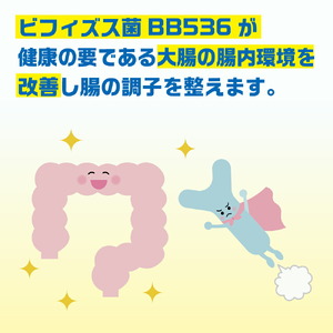 【10ヵ月定期便】森永 カルダスヨーグルト ドリンクタイプ 1ケース（12本）