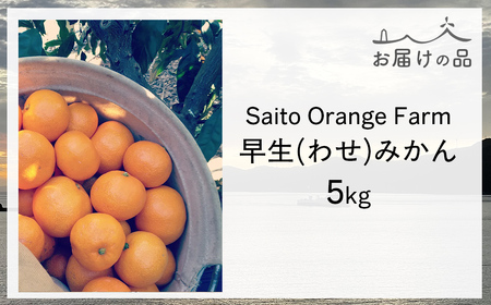 【先行予約】Saito Orange Farmの早生(わせ)みかん5kg （2026年11月以降順次発送） IKTAQ020