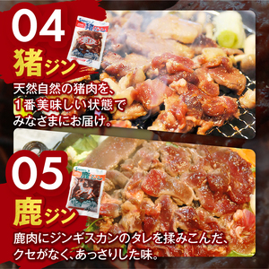 南信州 のチカラめし ジンギス 満喫7点セット | 長野県 飯田市
