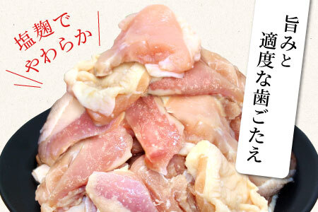 奥三河どり使用！ 田口塩鶏 国産 若鶏味付け肉 2種セット 1kg（もも肉250g×2・むね肉250g×2）もも肉 むね肉 塩ダレ 味付け肉 鶏肉 鶏 肉 キャンプ バーベキュー 味付け肉 大容量 手軽 焼くだけ 地鶏 焼肉 焼き鳥 -170