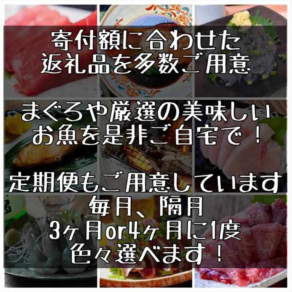口溶け とろ生海苔の佃煮 2本【のり ノリ 珍味 おつまみ ご飯のお供 惣菜 海鮮 塩辛 珍味 お取り寄せ 御中元 お中元 お歳暮 父の日 母の日 贈り物 日本酒 焼酎】【神奈川県小田原市早川】