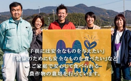 愛楽農園の"富"葉土いちじく【380g×4パック】・A023-13