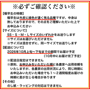 【10月お届け】◇極早生◇有田みかん「未来への虹」5kg（B1035-1）