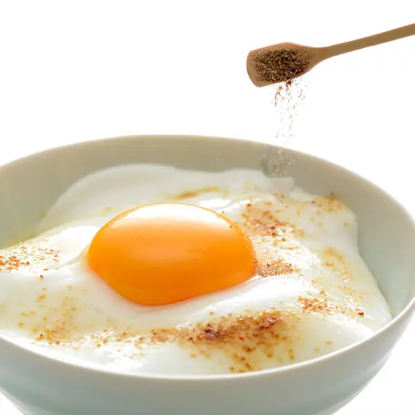 【下鴨茶寮】料亭の粉しょうゆ(2g×10袋セット) | 京都 老舗料亭 名店 調味料 人気 調味料