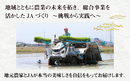 【令和７年産 毎月定期配送・計12回】 BG無洗米みずかがみ10kg×12回 [R-00402] / 無洗米