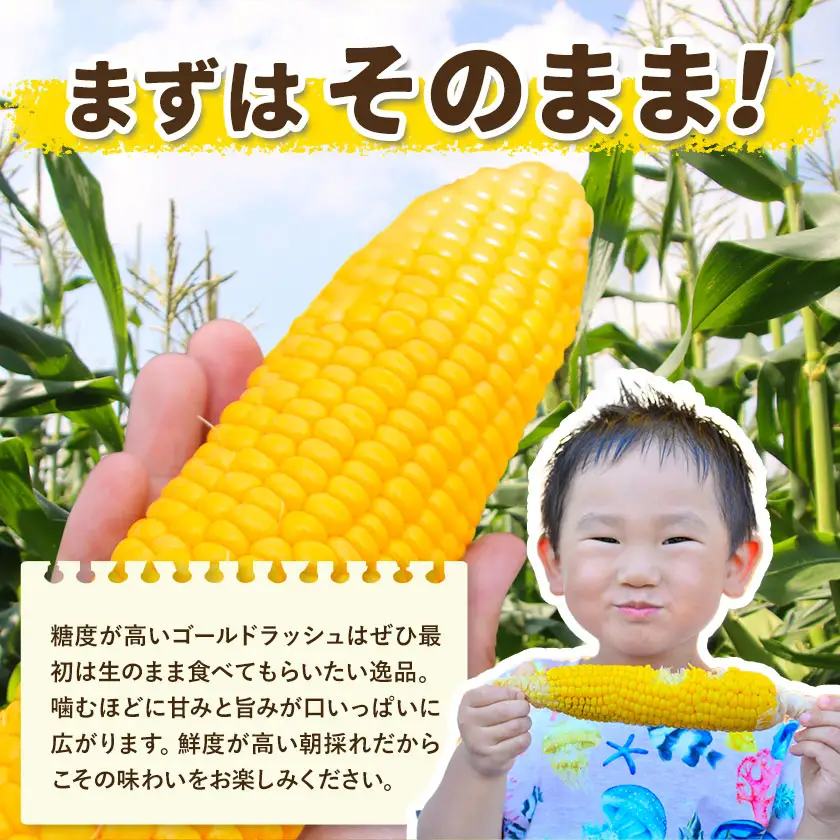 【先行予約】とうもろこし約3kg老沼利治《6月中旬-7月中旬頃出荷》朝採れスイートコーン