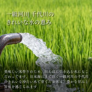 Y488 因幡の白兎米 コシヒカリ 令和8年産 精米済 10kg（5kg×2袋）