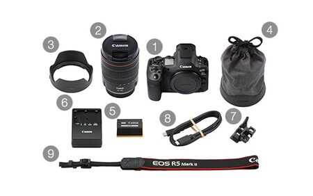 【Canon】 キヤノン ミラーレス カメラ EOS R5 MarkⅡ レンズキット キャノン 一眼 家電_0048C