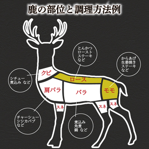 訳あり 鹿肉 ロース モモ ブロック 計約1kg 冷凍 ジビエ 鹿肉 BM110