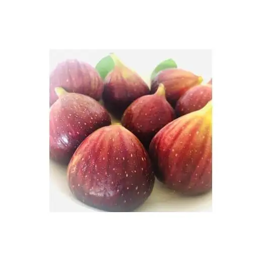 M005　いちじくプリンセス１箱