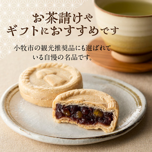 田縣もなか　１０個入り［176T01］