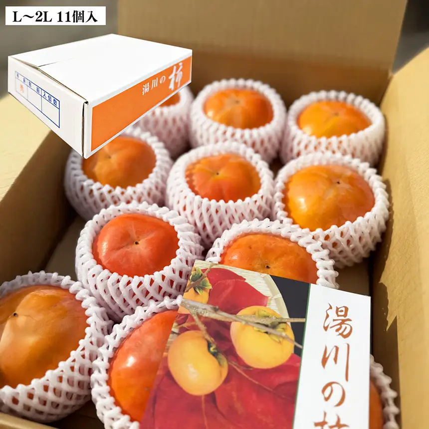 上田さんちの柿 ～想いを育てて六十年 一郎の想い詰まった富有柿～ L～2L 11個入り| 果物 柿