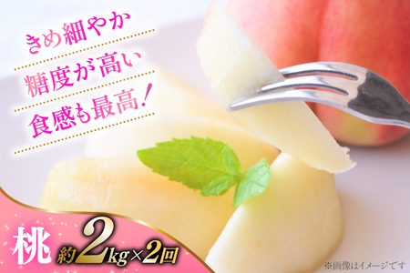 【2026年発送！先行予約！】 桃約2.0kg×2回 シャインマスカット約2.0kg×2回 おごっそう！！定期便4回 NS-1017 [韮崎翠緑 山梨県 韮崎市 20744990]