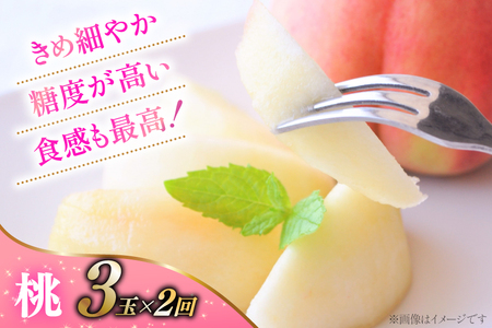 【2026年発送！先行予約！】 桃3玉×2回 シャインマスカット約1.0kg×2回 ちっとばかし定期便4回 NS-1018 [韮崎翠緑 山梨県 韮崎市 20744989]