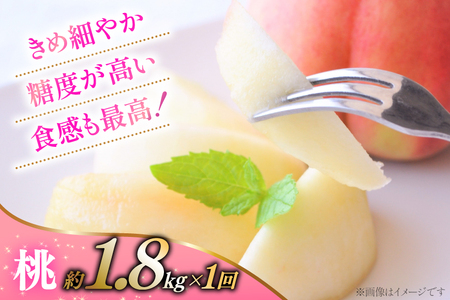 【2026年発送！先行予約！】【王道コンビ！】｜ 桃約1.8kg シャインマスカット1kg 定期便2回 NS-1019 [韮崎翠緑 山梨県 韮崎市 20744988]