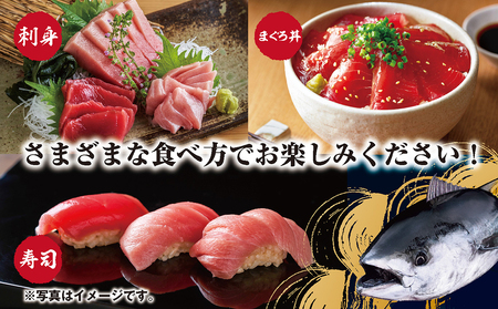 刺し身 本マグロ 600g 詰め合わせ 刺身 お刺し身 柵 マグロ 鮪