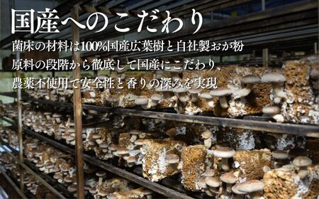 肉厚国産 生しいたけ 1kg | しいたけ 株式会社レインボー