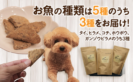 100%お魚で作ったペットフード「ぽわんこ」お試しサイズ・K322