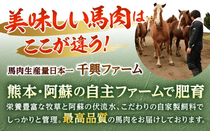 霜降り馬刺し 約320g 馬刺しのたれ付き[AYAF013]