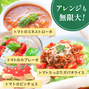 【先行予約】 和歌山県由良町産 ゆらミニトマト 2kg×1箱※2025年10月中旬頃から順次発送予定(お届け日指定不可) / ミニトマト　トマト ハウス栽培 とまと 野菜 産地直送 新鮮 由良町 和歌山【ktym011】
