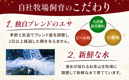 『純国産』熊本の味 馬刺し 満喫 4種 セット 計約420g 赤身 上霜降り 桜 タタキ 馬刺し [AYCN004]