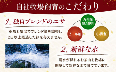 『純国産』熊本の味 赤身 馬刺し 約300g ブロック 冷凍  馬刺し [AYCN026]