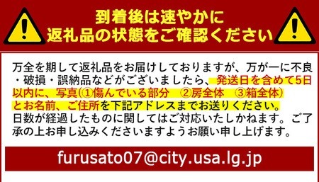 ＜先行予約受付中！2026年7月上旬以降順次発送予定＞＜数量限定＞デラウェア (約2kg) デラウェア 葡萄 ぶどう フルーツ 果物 くだもの 果実【115800200】【大分中央農産】