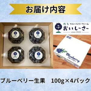長野県産 生ブルーベリー 約400g  （2026年7月～8月出荷／北海道・沖縄・離島は配送不可） ベリー