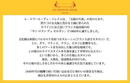 （今治タオルブランド認定品） [ドレッシー] 上質今治タオル ハンカチギフト 10枚フルコンプリートセット ギフト専用オリジナル個包装付き [I003190HT10]