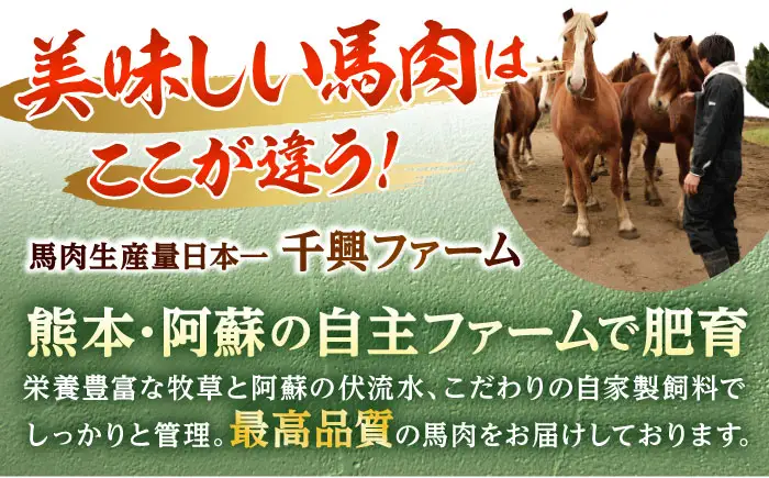 馬刺し 赤身ユッケ 10個セット 約500g ユッケ[AYAF023]