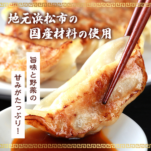 【定期便6回】ジューシーもち豚餃子（浜松餃子）うまさAランク 98個×6回（6か月）【配送不可：離島】餃子 ぎょうざ 中華 点心 惣菜 おかず 冷凍 ギョウザ 五味八珍 浜松市