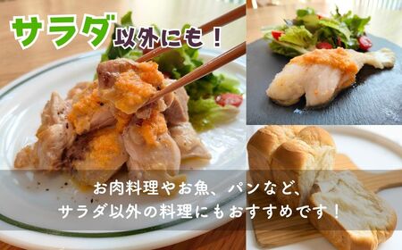 にんじんドレッシング2本 | にんじんドレッシング オーガニックファーム所沢農人
