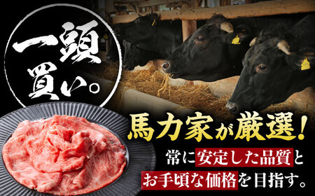 飛騨牛肩ロース 800ｇ(400ｇ×2パック) すき焼きしゃぶしゃぶ用肉 [AVBO005]牛肉