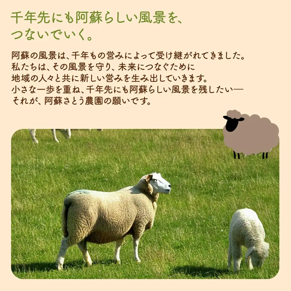 阿蘇地域で生産した貴重な国産羊肉のジンギスカン！　 国産羊肉 ジンギスカン 熊本特産 晩白柚風味  羊肉レシピ 簡単調理 焼くだけ 本格ジンギスカン  熊本グルメ ご当地グルメ 特製漬け込み お取り寄せグルメ BBQ食材 ご飯に合う ヘルシー肉 風味豊かな羊肉 熊本　阿蘇市