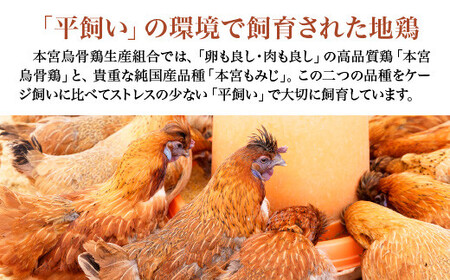 地鶏ペットフード　【07214-0391】