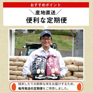 【12回定期便】きぬひかり 5kg 定期便 精米 白米