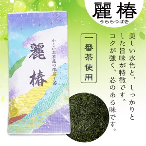 ＜ お茶 生産量 日本一 の 鹿児島県産 ！＞ 小さい お茶屋 の 深蒸し茶 ～ 麗椿 ～( 茶葉 100g×3本・合計300g) 国産 緑茶 茶葉【お茶の山口園】A186-v01