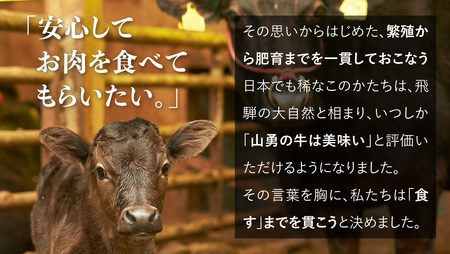 飛騨牛 サーロインステーキ 200g×3枚 600g 飛騨の牧場で育った熟成『山勇牛』牛肉 和牛 サーロイン ブランド牛 和牛 A4 A5 ランクのみ 冷凍 飛騨市