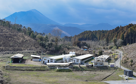 曽山養豚の宮崎県産豚肉切り落とし2kg(500g×4p)TF0826-P00078 