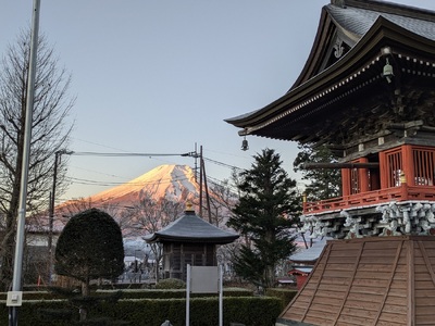 承天寺　忍野富士どうぶつ霊園単独墓