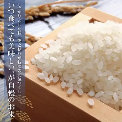 Y17-31 令和7年産 無洗米 元気つくし2kg