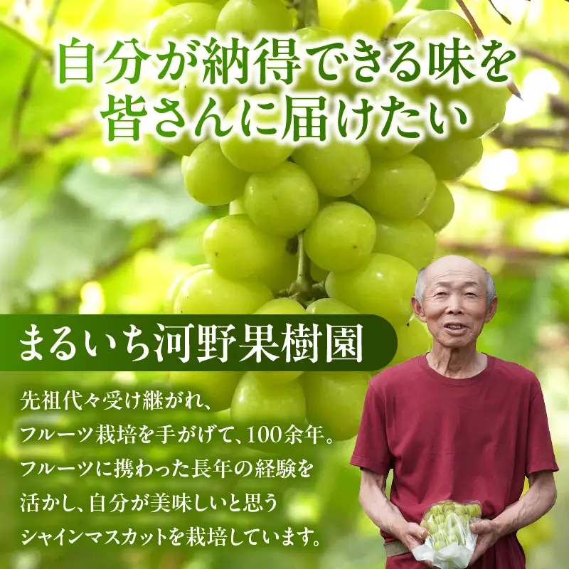 先行予約≪期間限定≫シャインマスカット(計2kg) ぶどう フルーツ 果物 デザート 国産_T051-0015