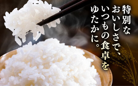 あいちのかおり 精米 10kg / 鷲野聰明[AEDF001]