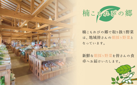 【6ヶ月定期便】新鮮野菜の産直 7～10品目 ＜楠こもれびの郷「楠四季菜市」＞｜野菜 宇部