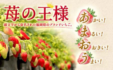 いちご「 あまおう 」 約270g×4パック 計約1,080g 【2026年12月上旬～2027年1月下旬発送予定】
